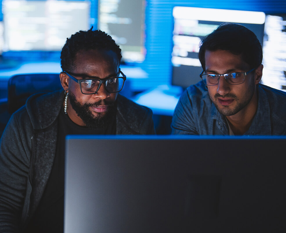 Two IT professionals analyze a computer monitor.