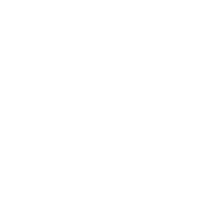 Accountability icon