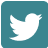Twitter In Logo