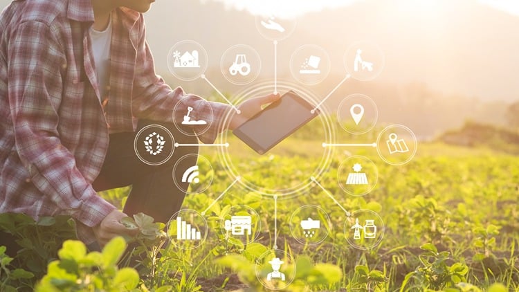 RevStar Revolutionizing Farming Operations: The Power of Cloud Computing blog image